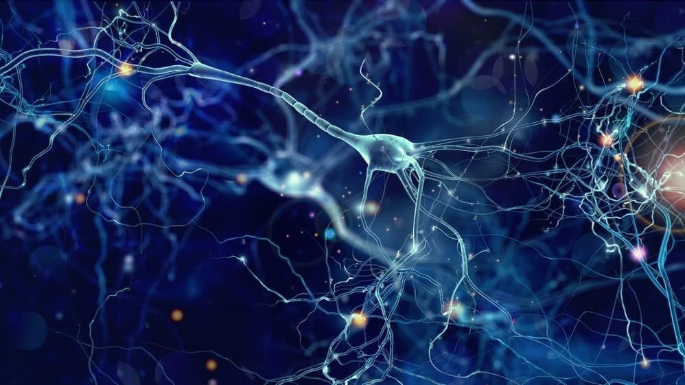 Finding Peace with Neurofeedback Therapy