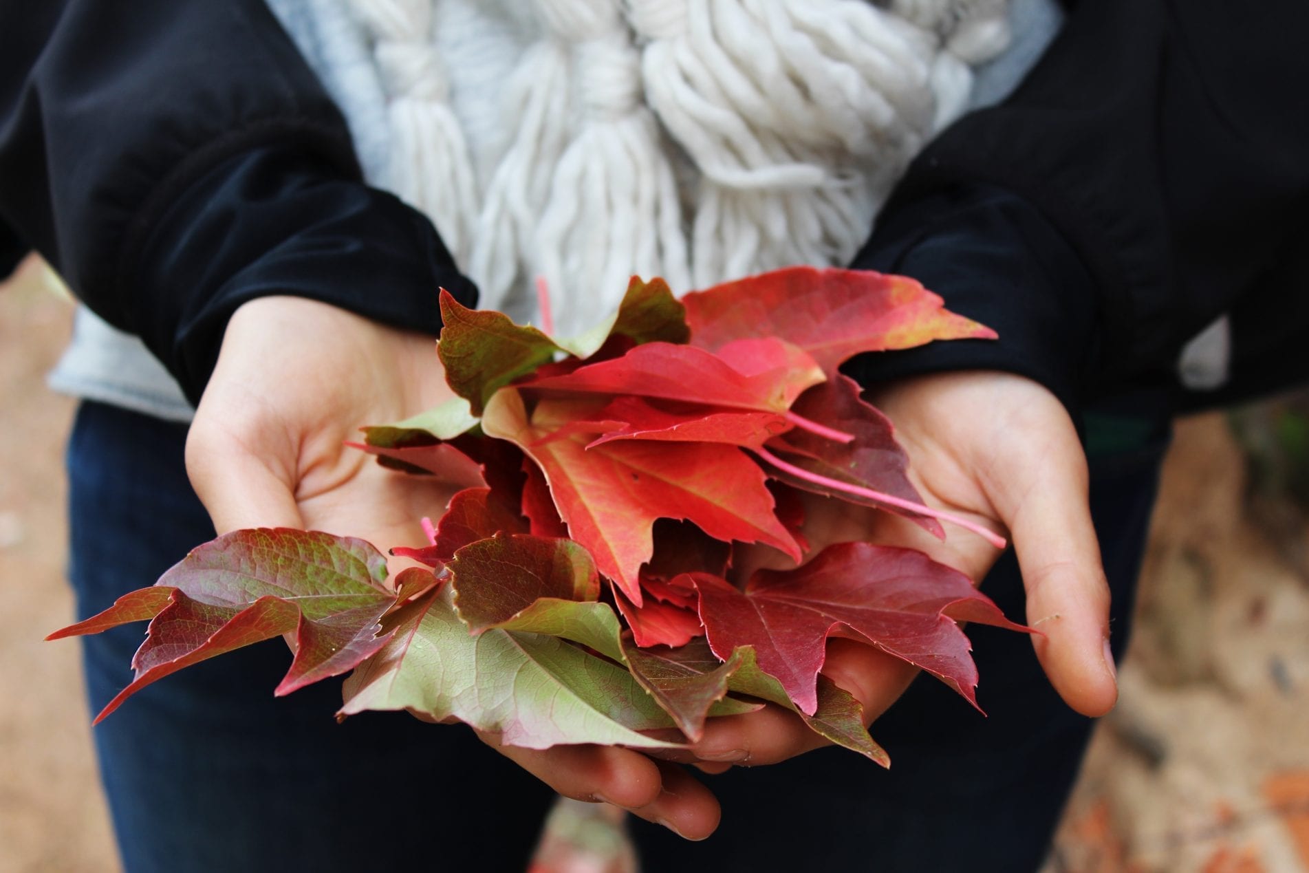 Seasonal Depression is Real: Four Ways to Deal