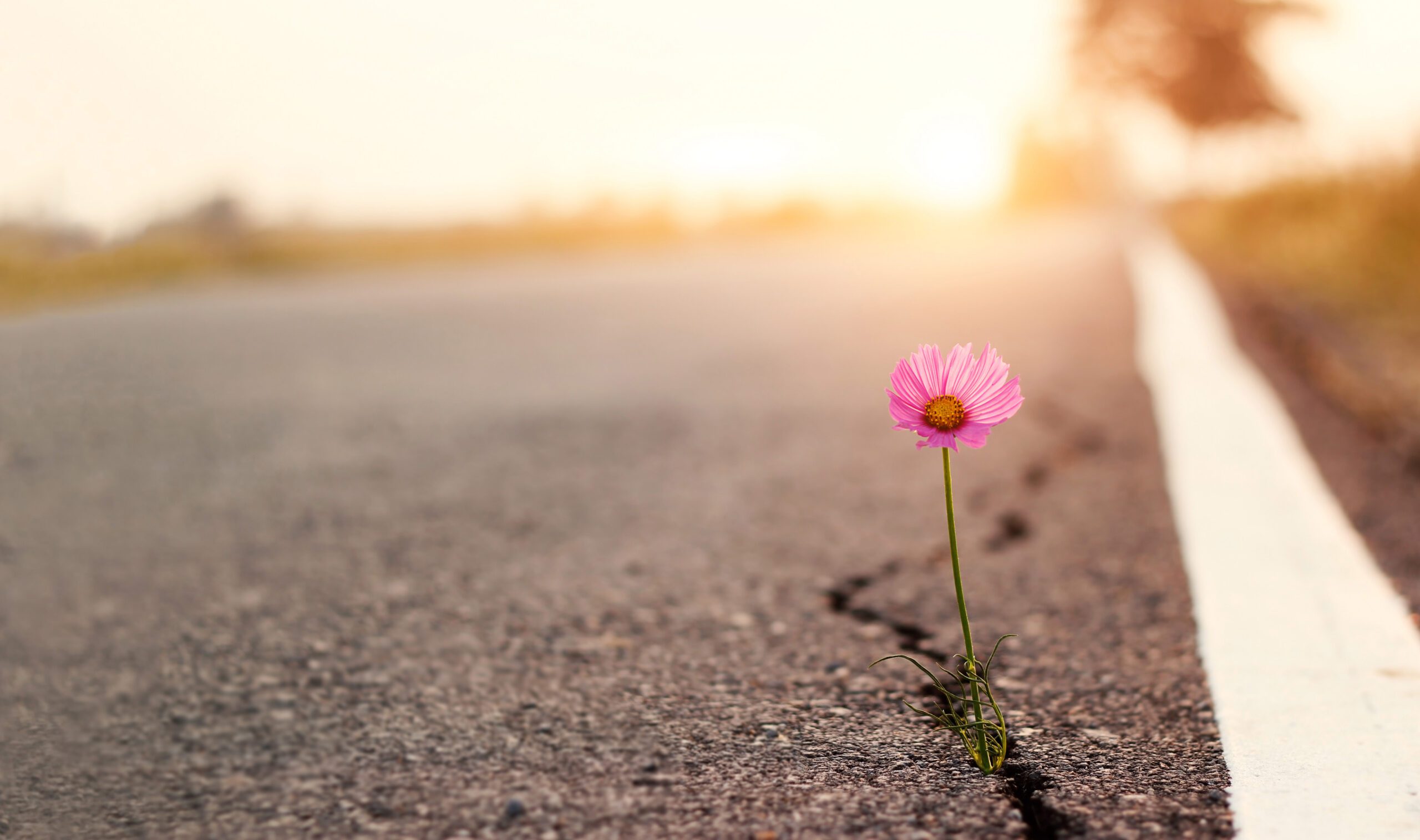 From Feeling Hopelessness to Healing