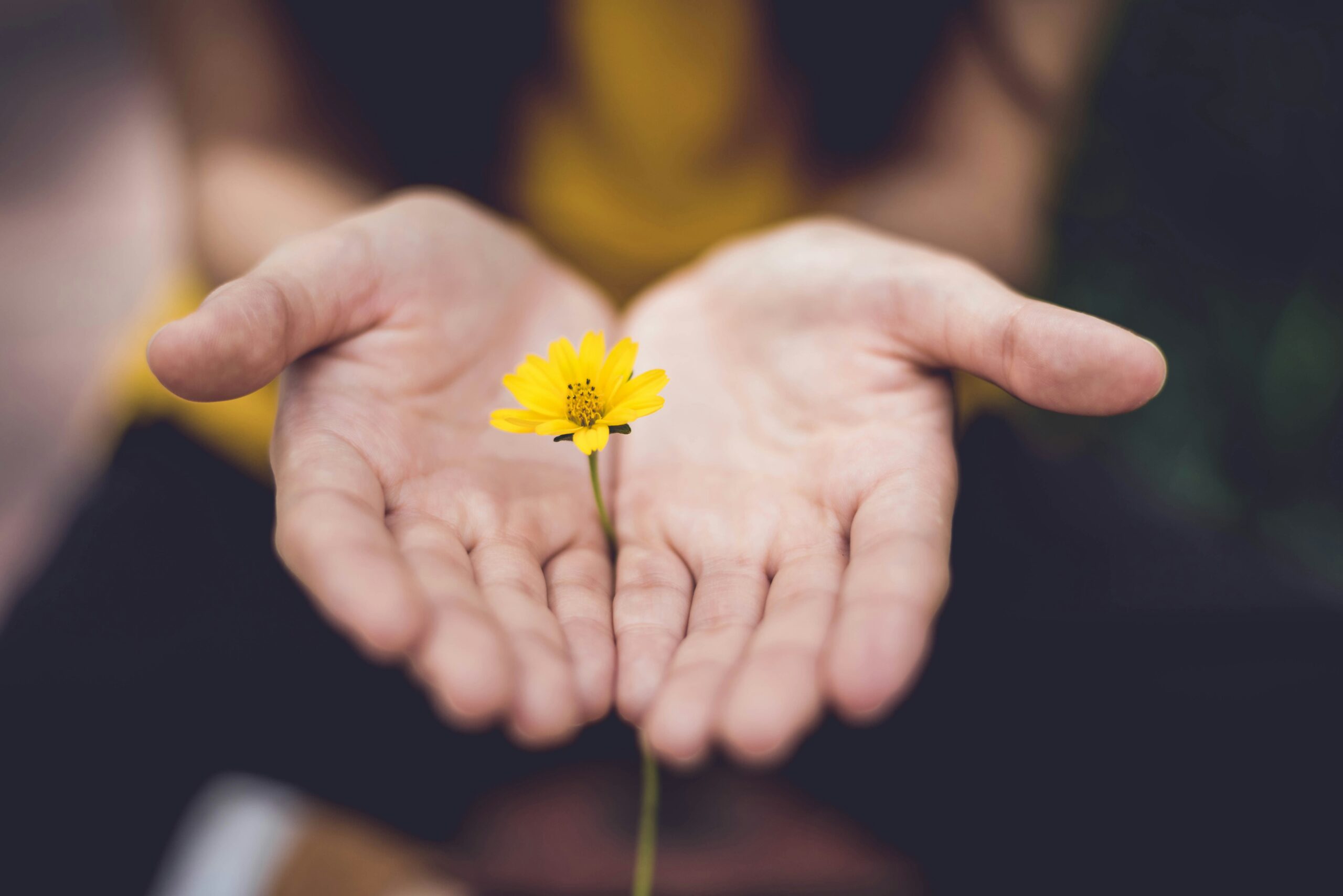 Hope Meets Clarity: Embracing Solution Focused Therapy Techniques