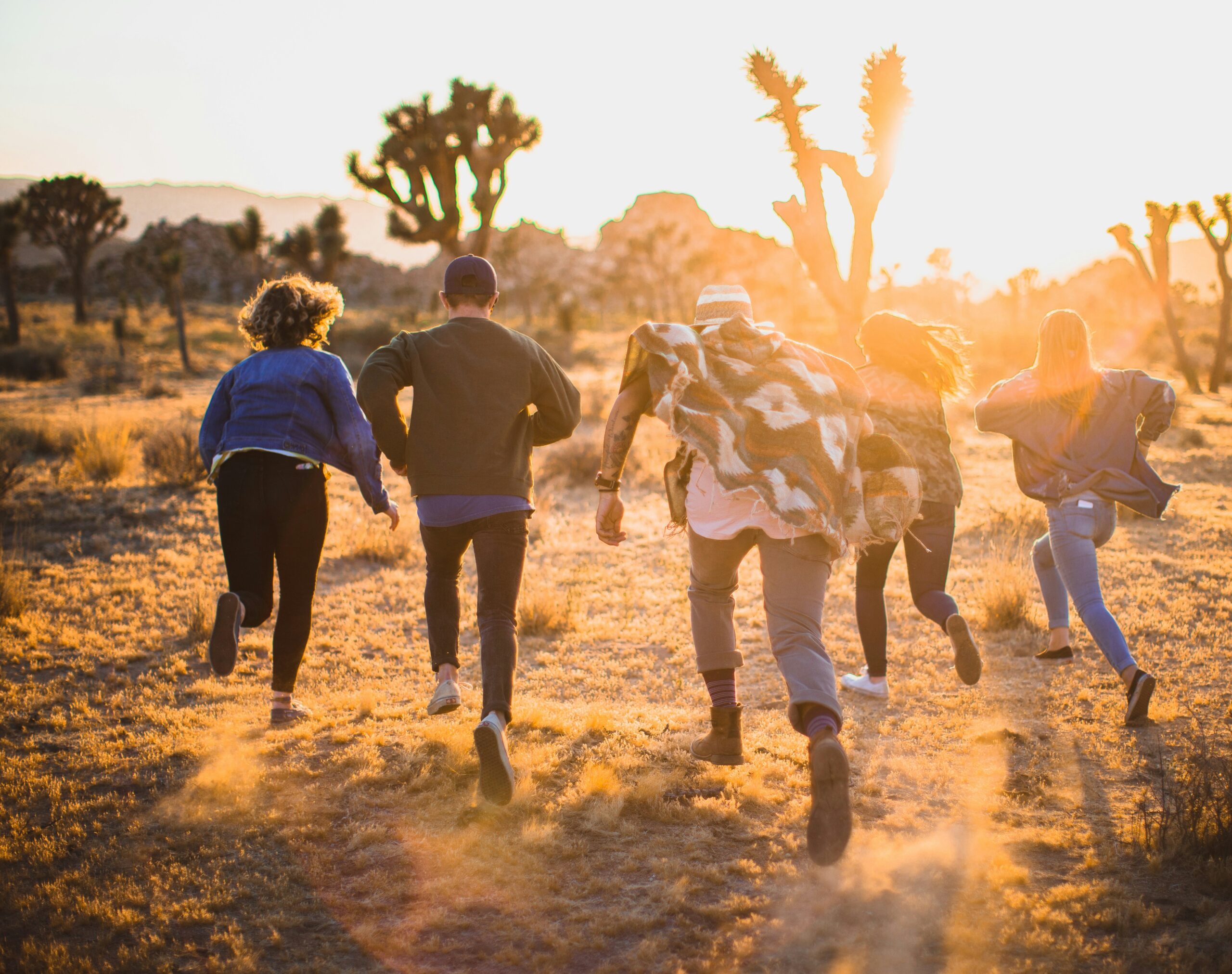 Healing From Within: Exploring NARM Therapy