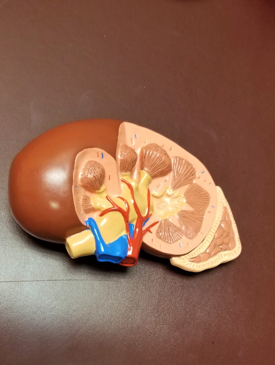 14 Signs of Liver Damage from Alcohol